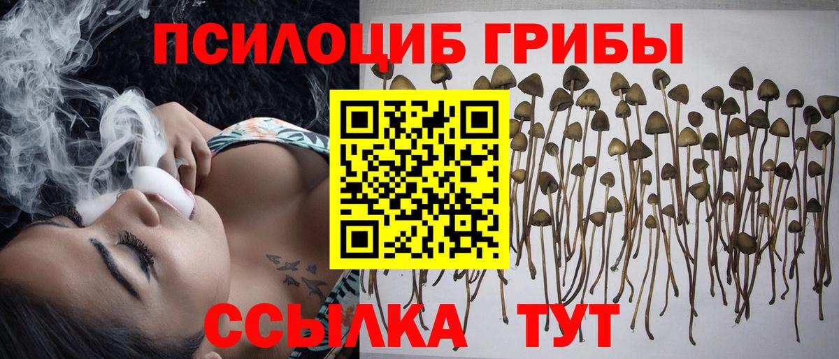 Кимры  Галлюциногенные грибы ЛСД  Вход с VPN  Галлюциногенные грибы мухоморы 